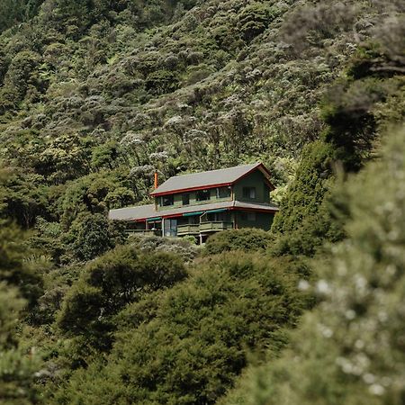 Buffalo Lodge Coromandel Екстериор снимка
