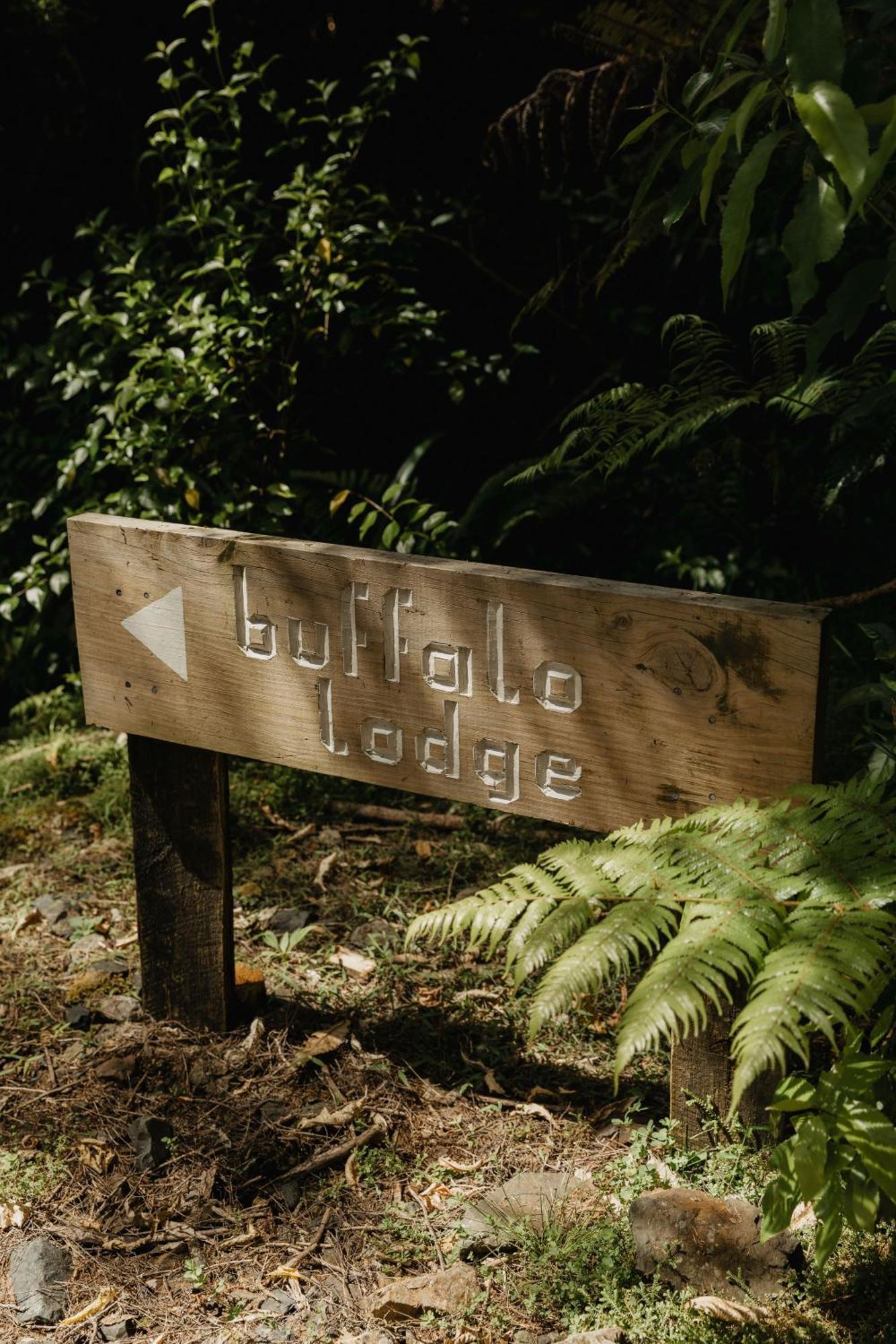Buffalo Lodge Coromandel Екстериор снимка