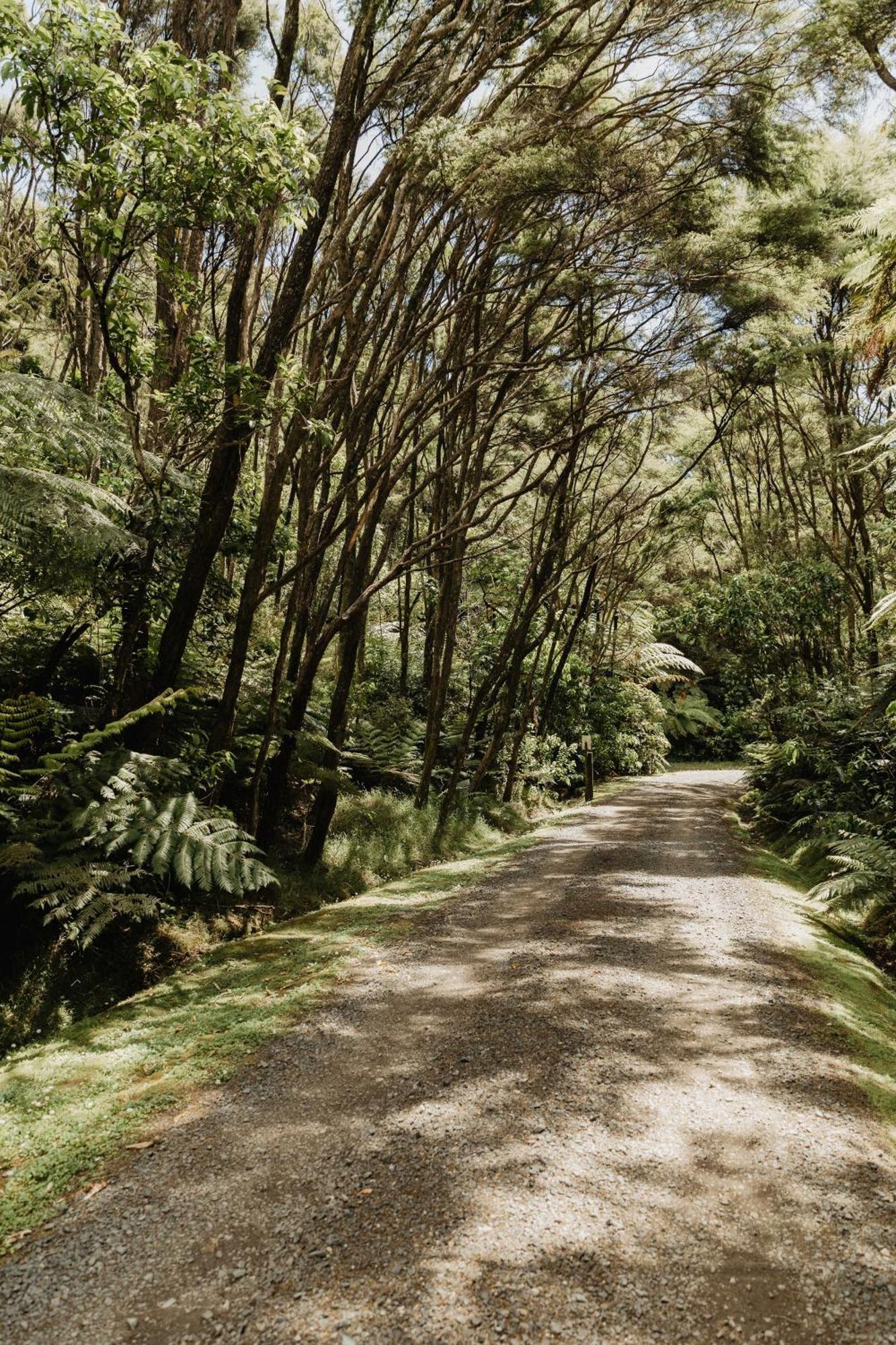 Buffalo Lodge Coromandel Екстериор снимка