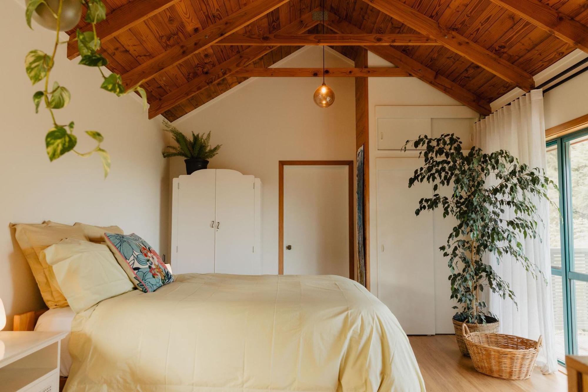 Buffalo Lodge Coromandel Стая снимка