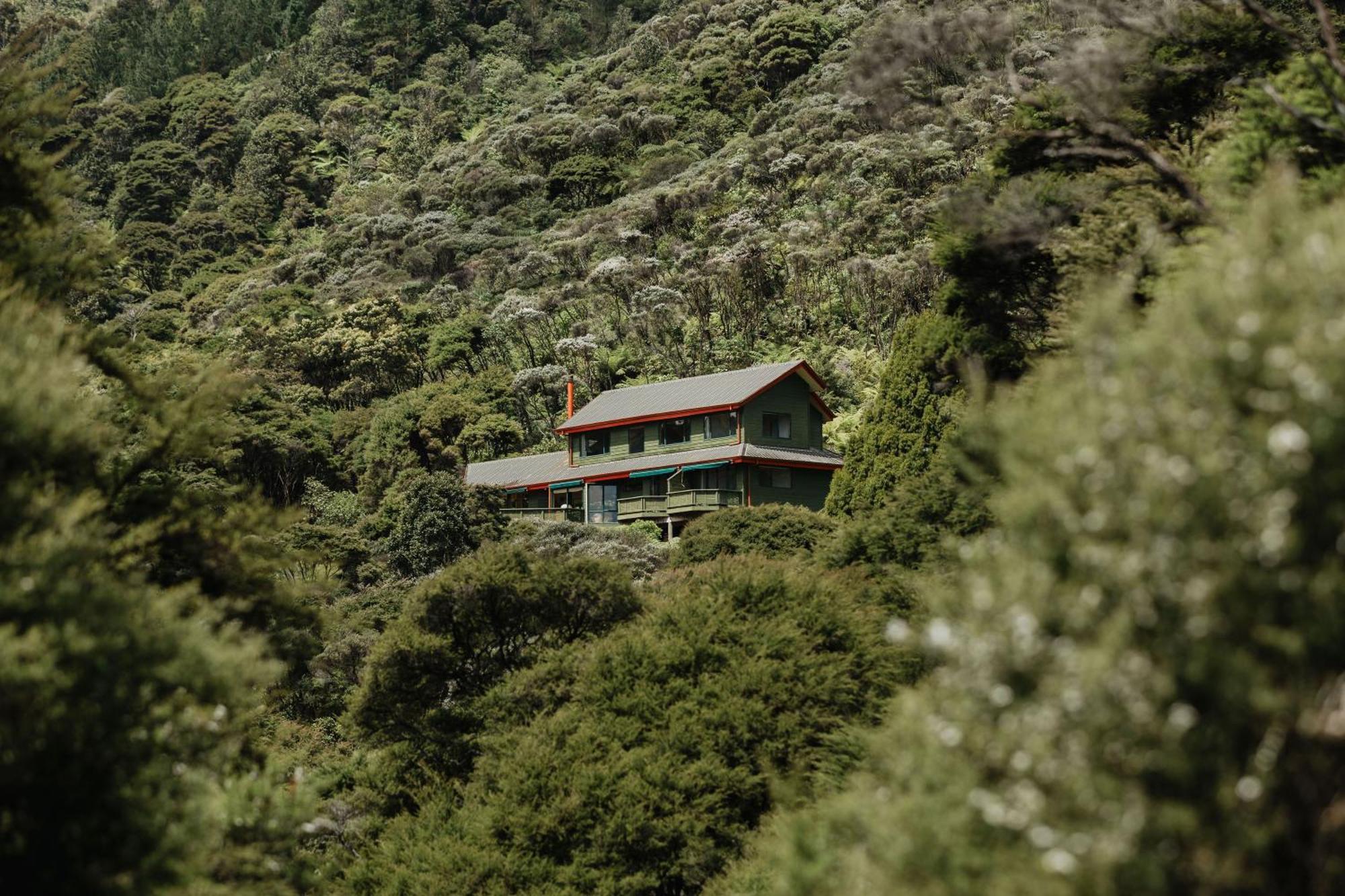 Buffalo Lodge Coromandel Екстериор снимка